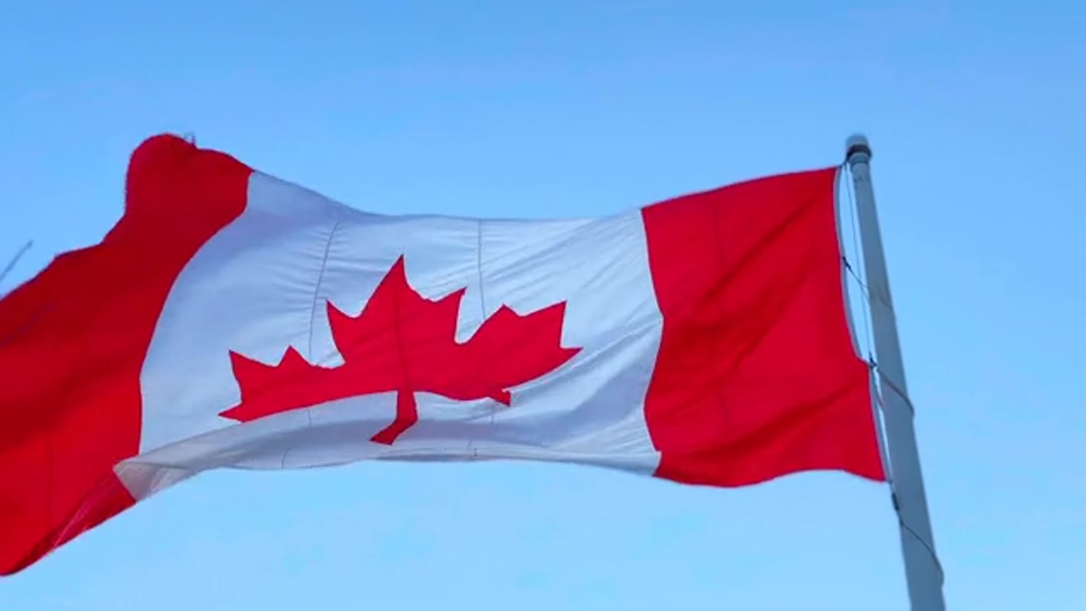 Canadian flag flying above handheld flags at a citizenship ceremony
